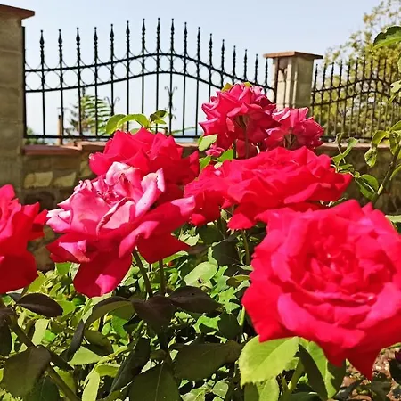 Villa Arode Ovidius Balçık