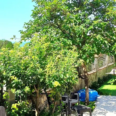 Arode Ovidius בלצ'יק