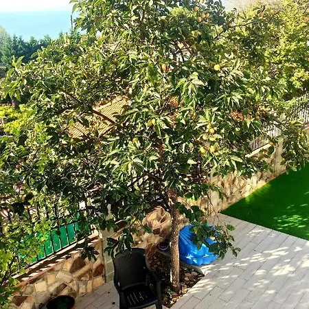 Arode Ovidius Villa Baltsjik