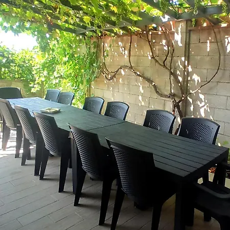 Arode Ovidius バルチク