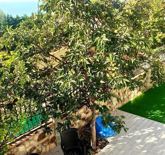 Arode Ovidius Villa Baltschik