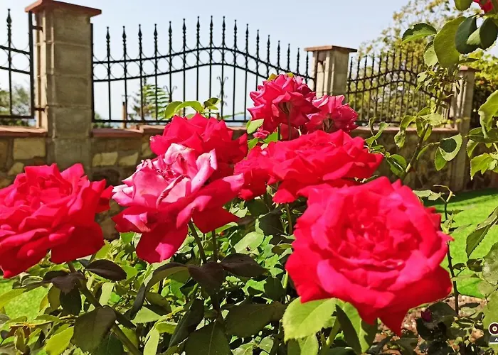 Villa Arode Ovidius Baltschik