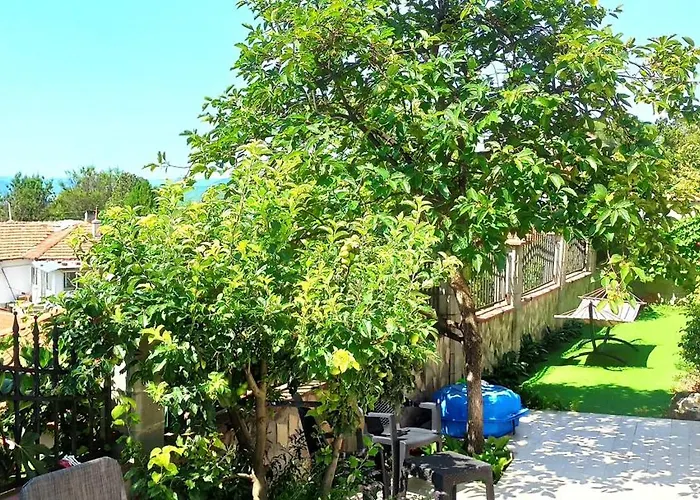 Arode Ovidius Baltschik